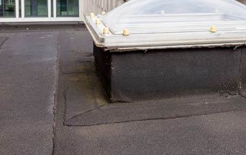 disadvantages of Gruids flat roofs
