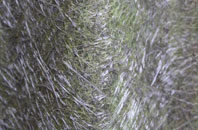 Gruids fibreglass roof work